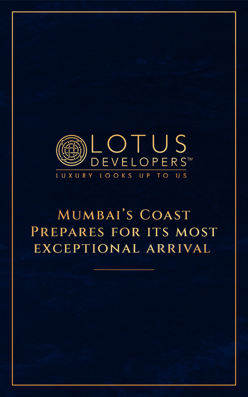 Lotus Developers